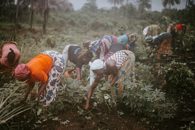 Agriculture
