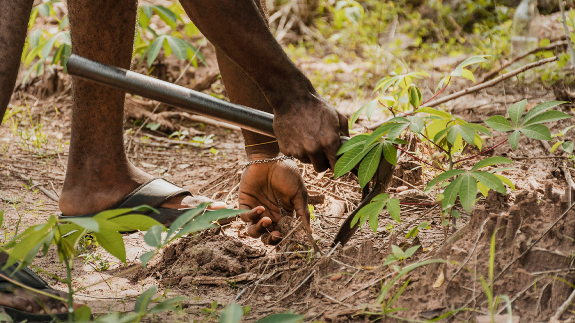 Kabok farm in Homabay County